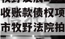 新乡牧野发展2023年应收账款债权项目（新乡市牧野法院拍卖公告）