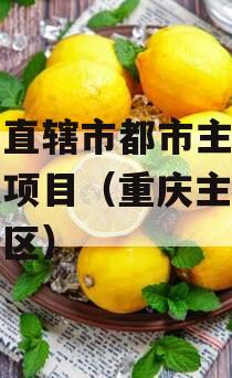 重庆直辖市都市主城区首发项目（重庆主城都市新区）