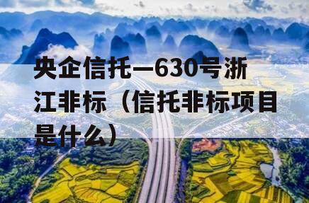 央企信托—630号浙江非标（信托非标项目是什么）