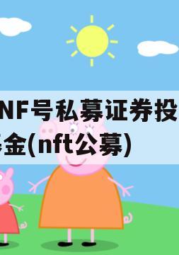 NNF号私募证券投资基金(nft公募)