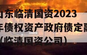 山东临清国资2023年债权资产政府债定融（临清国资公司）