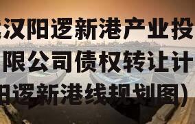 武汉阳逻新港产业投资有限公司债权转让计划(阳逻新港线规划图)