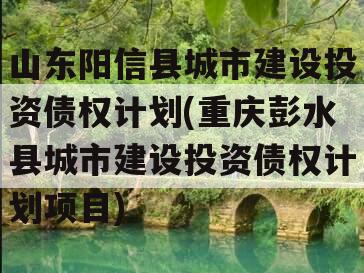 山东阳信县城市建设投资债权计划(重庆彭水县城市建设投资债权计划项目)