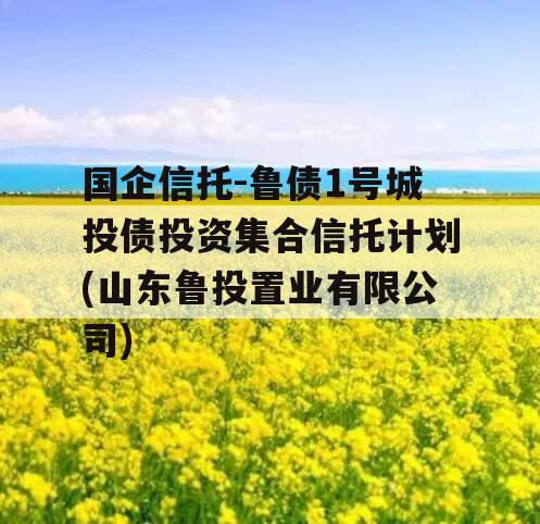 国企信托-鲁债1号城投债投资集合信托计划(山东鲁投置业有限公司)
