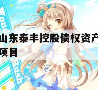 山东泰丰控股债权资产项目