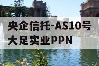 央企信托-AS10号大足实业PPN