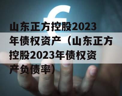 山东正方控股2023年债权资产（山东正方控股2023年债权资产负债率）