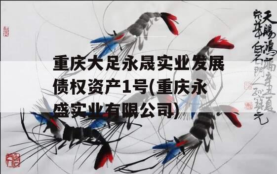 重庆大足永晟实业发展债权资产1号(重庆永盛实业有限公司)