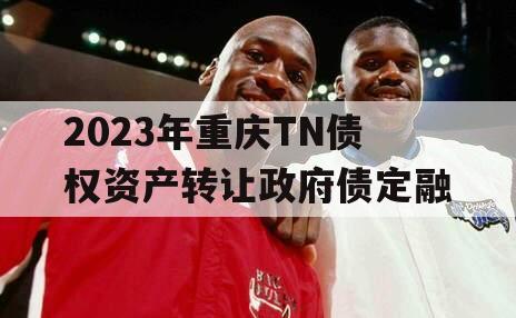 2023年重庆TN债权资产转让政府债定融
