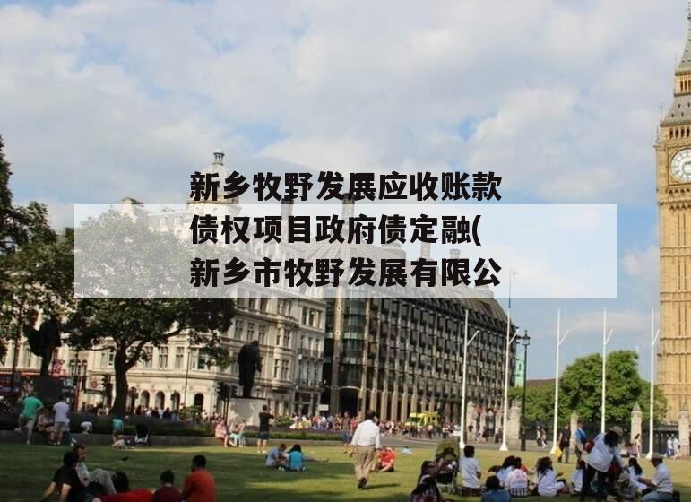 新乡牧野发展应收账款债权项目政府债定融(新乡市牧野发展有限公司)