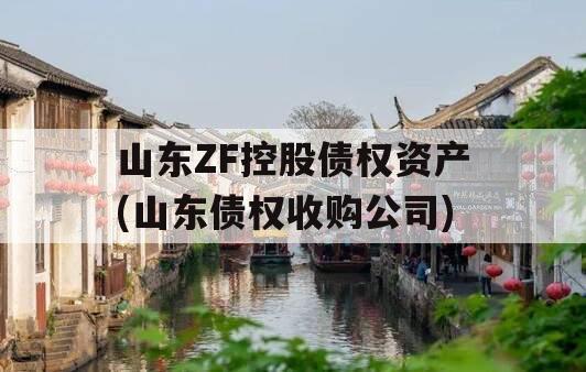 山东ZF控股债权资产(山东债权收购公司)
