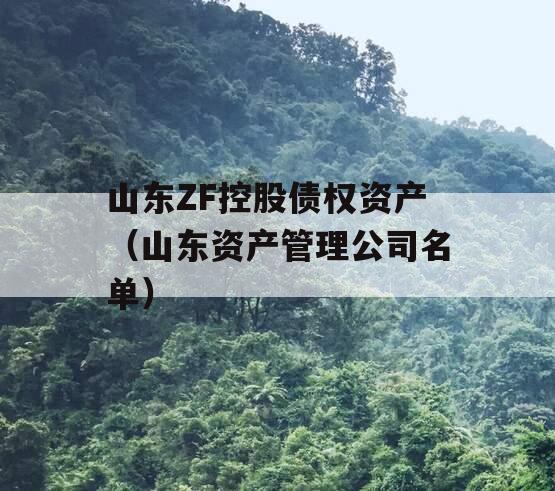 山东ZF控股债权资产（山东资产管理公司名单）