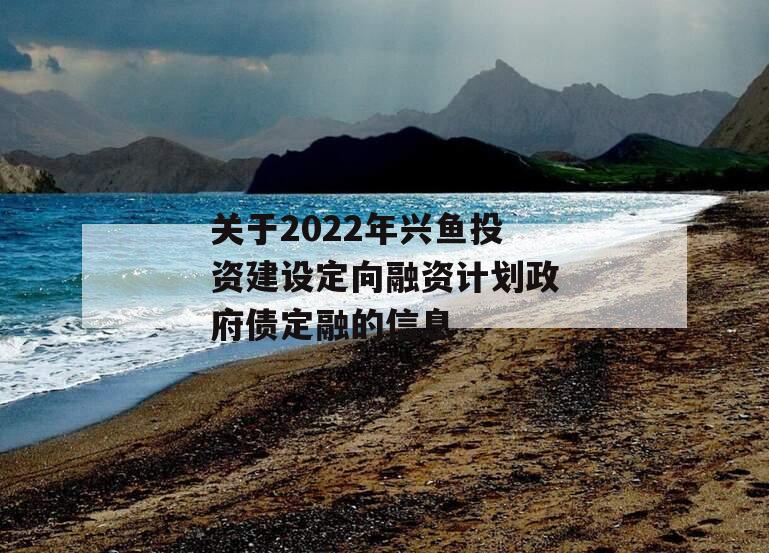 关于2022年兴鱼投资建设定向融资计划政府债定融的信息