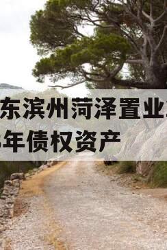 山东滨州菏泽置业2023年债权资产