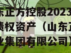 山东正方控股2023年债权资产（山东正方实业集团有限公司）