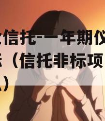 国企信托-一年期仪征非标（信托非标项目是什么）