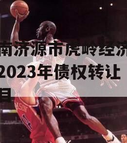 河南济源市虎岭经济发展2023年债权转让项目
