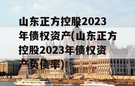 山东正方控股2023年债权资产(山东正方控股2023年债权资产负债率)