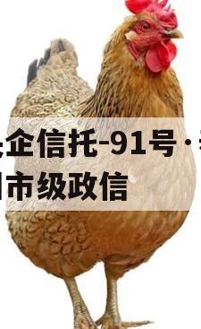 央企信托-91号·泰州市级政信