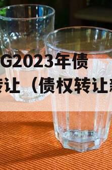 CJZG2023年债权转让（债权转让新规）
