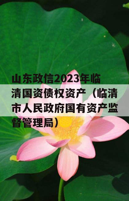 山东政信2023年临清国资债权资产（临清市人民政府国有资产监督管理局）