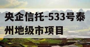 央企信托-533号泰州地级市项目