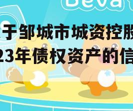 关于邹城市城资控股2023年债权资产的信息