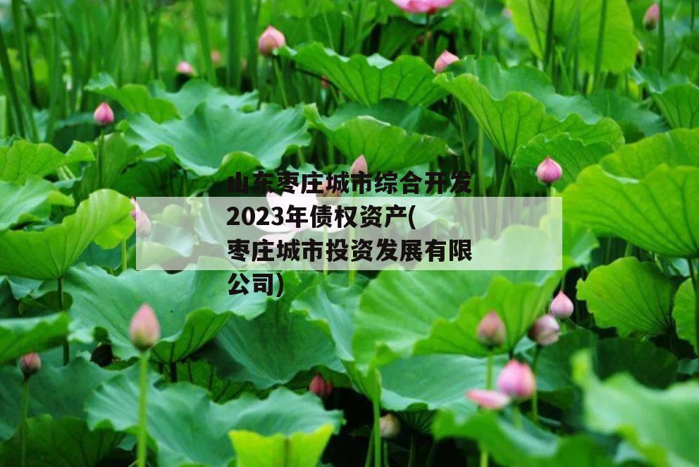 山东枣庄城市综合开发2023年债权资产(枣庄城市投资发展有限公司)