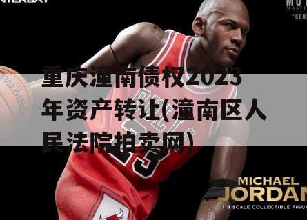 重庆潼南债权2023年资产转让(潼南区人民法院拍卖网)
