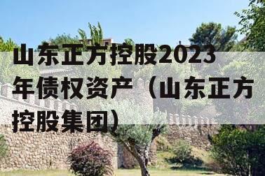 山东正方控股2023年债权资产（山东正方控股集团）