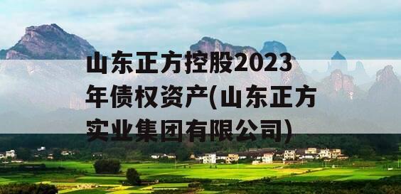 山东正方控股2023年债权资产(山东正方实业集团有限公司)