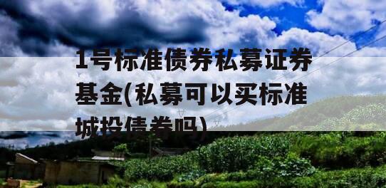 1号标准债券私募证券基金(私募可以买标准城投债券吗)