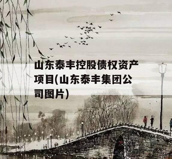 山东泰丰控股债权资产项目(山东泰丰集团公司图片)