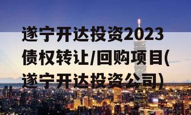 遂宁开达投资2023债权转让/回购项目(遂宁开达投资公司)