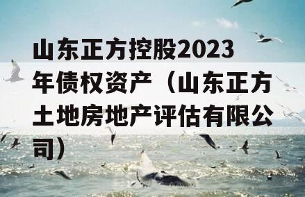 山东正方控股2023年债权资产（山东正方土地房地产评估有限公司）