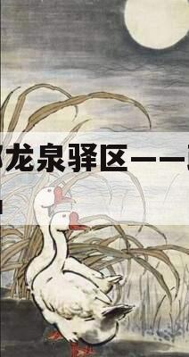 成都龙泉驿区——政信产品