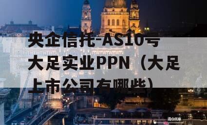 央企信托-AS10号大足实业PPN（大足上市公司有哪些）