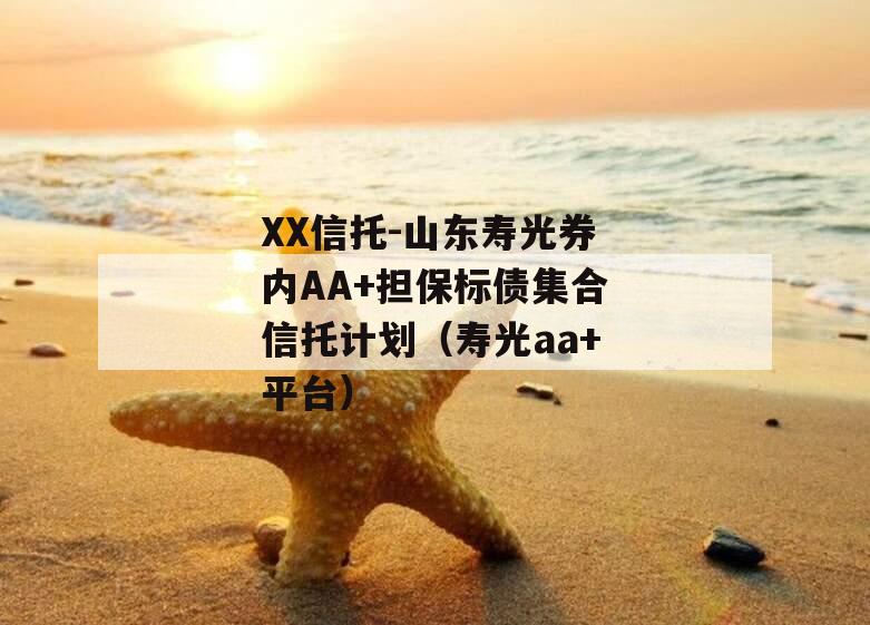 XX信托-山东寿光券内AA+担保标债集合信托计划（寿光aa+平台）