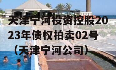 天津宁河投资控股2023年债权拍卖02号（天津宁河公司）