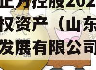 山东正方控股2023年债权资产（山东正方实业发展有限公司待遇）