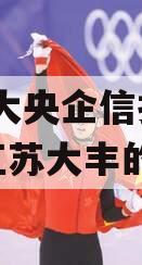 包含大央企信托-526号江苏大丰的词条