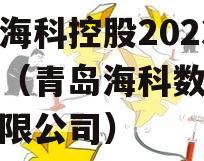 青岛海科控股2023债权（青岛海科数字科技有限公司）