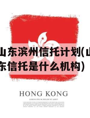 山东滨州信托计划(山东信托是什么机构)