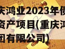 重庆鸿业2023年债权资产项目(重庆鸿业集团有限公司)