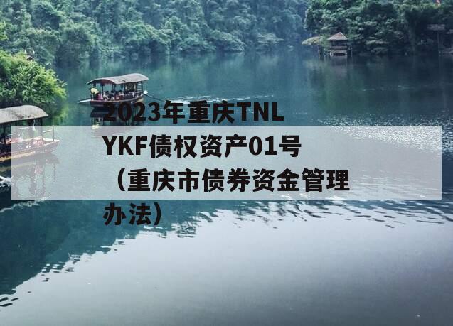 2023年重庆TNLYKF债权资产01号（重庆市债券资金管理办法）
