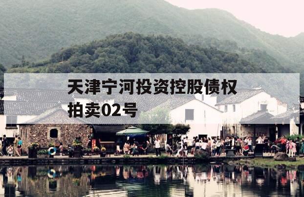 天津宁河投资控股债权拍卖02号