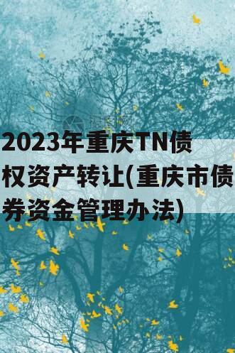 2023年重庆TN债权资产转让(重庆市债券资金管理办法)
