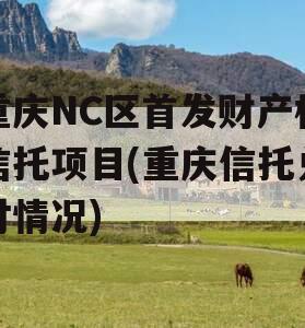 重庆NC区首发财产权信托项目(重庆信托兑付情况)