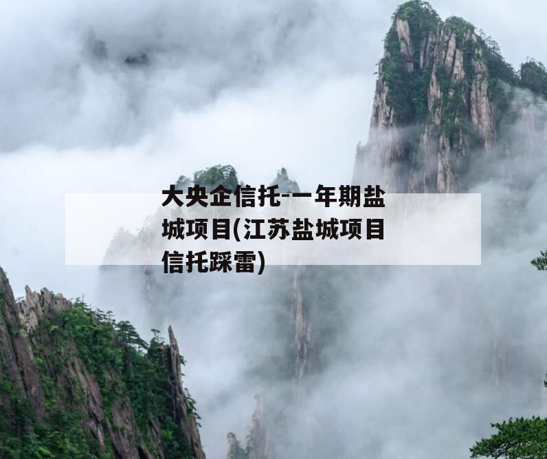 大央企信托-一年期盐城项目(江苏盐城项目信托踩雷)