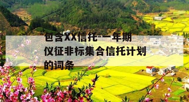 包含XX信托-一年期仪征非标集合信托计划的词条